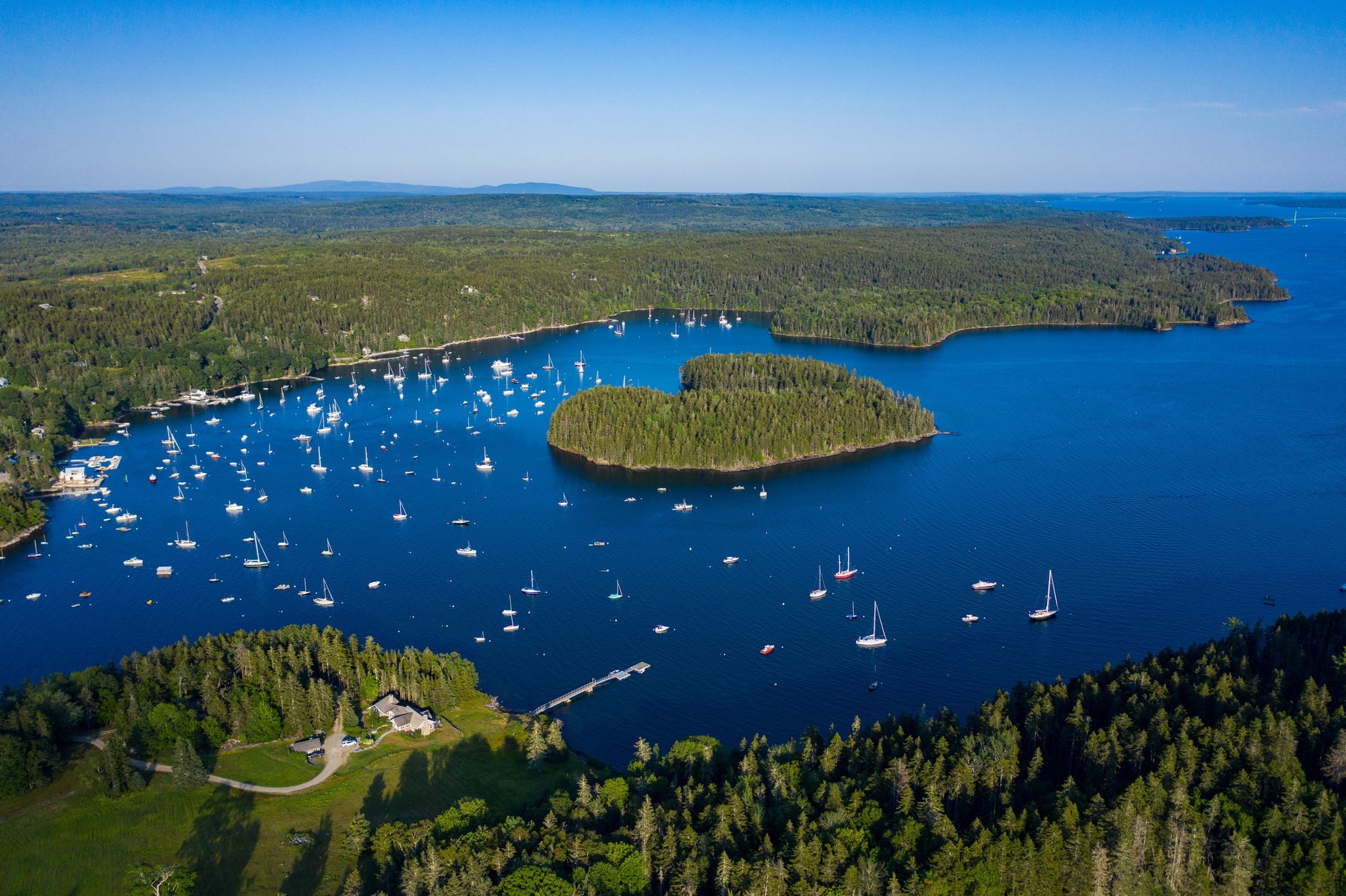 Magyar zászlót húztak fel az USA határára, rendkívüli a történet
